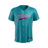 Charleston RiverDogs Teal Throwback Jersey