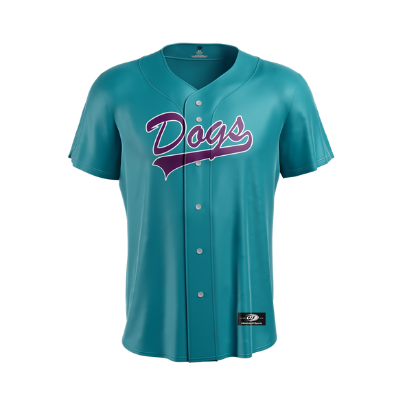 Charleston RiverDogs Teal Throwback Jersey