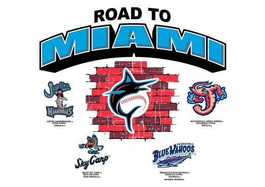 Jacksonville Jumbo Shrimp Bimm Ridder Road To Miami Tee