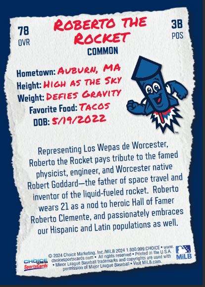 Worcester Red Sox WooCards Trading Card Game - Starter Pack