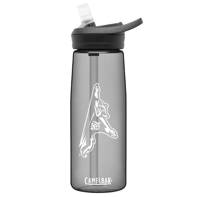 Richmond Flying Squirrels Camelbak Eddy+ .75L Bottle