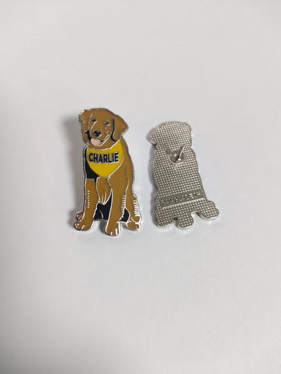 RiverDogs Charlie Pin