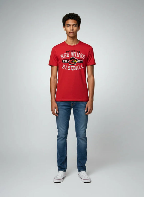 Red Wings HOLIDAY PACK - 2 TICKETS