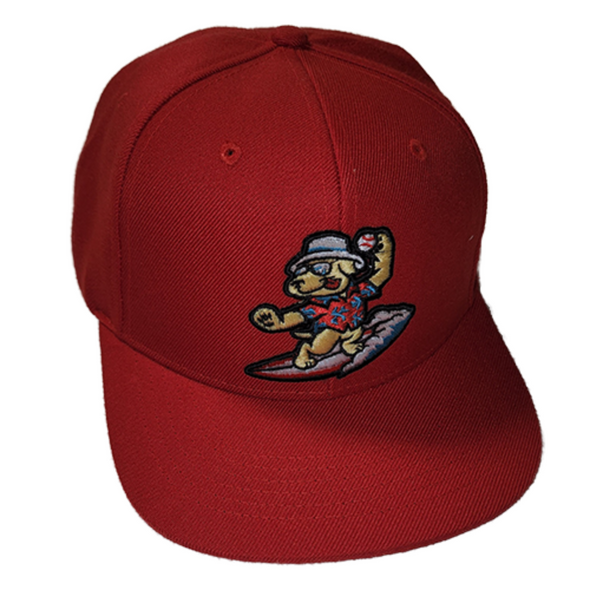 Clearwater BeachDogs Bimm Ridder Replica Snapback