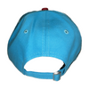 Clearwater BeachDogs 9TWENTY BeachDogs Replica Cap