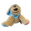 Clearwater BeachDogs FOCO 10" Plush Dog