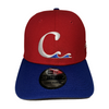 Clearwater Threshers New Era Clearwater Phillies 39THIRTY Stretch Cap