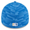 Myrtle Beach Pelicans New Era 2025 Clubhouse Alternate 39Thirty Stretch Fit Cap