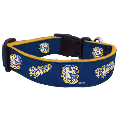 Barkansas Dizzys All Star Dogs Collar