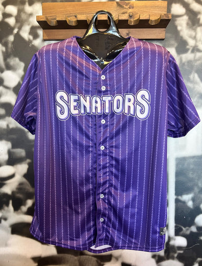 Harrisburg Senators 2024 Color of Cancer Jersey