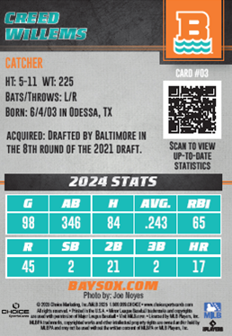 2025 Baysox Baseball Cards Trading Cards Full Team Set