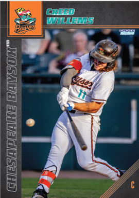 2025 Baysox Baseball Cards Trading Cards Full Team Set