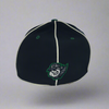 Altoona Curve New Era 39Thirty BC Crickets