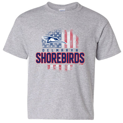 Delmarva Shorebirds Sport Gray Youth Cambria T-Shirt