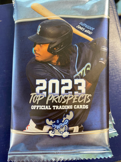 2023 Blue Rocks Top Prospects