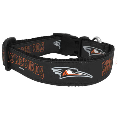 All Star Dogs Dog Collar