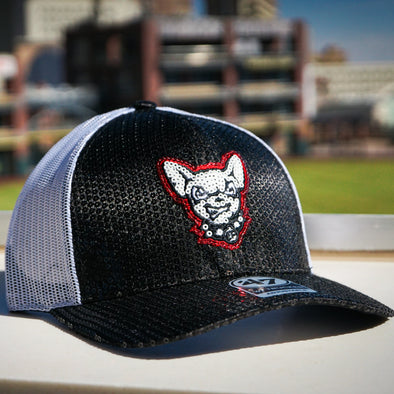 CHIHUAHUAS DAZZLE SNAP BACK HAT- 47 BRAND