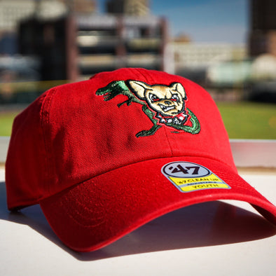 CHIHUAHUAS TREX ADJUSTABLE YOUTH HAT- 47 BRAND