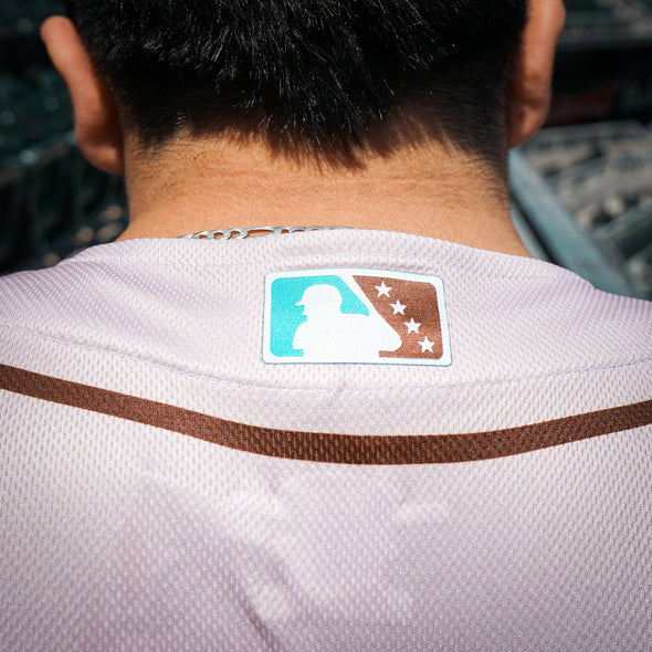 CHIHUAHUAS STONE TEAL OT SPORTS JERSEY