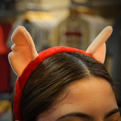CHIHUAHUAS CHICO EARS