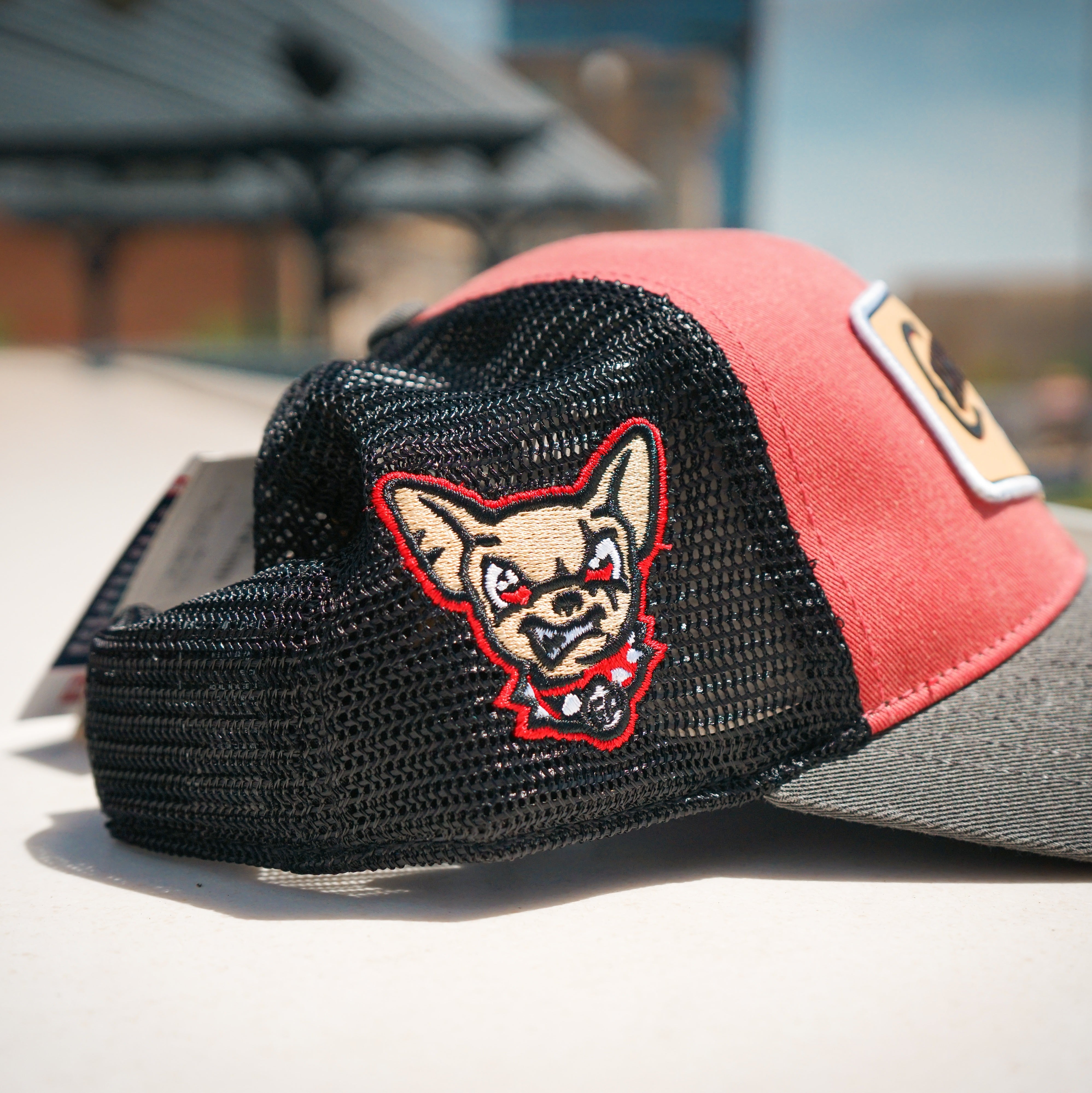 El Paso Chihuahuas Tシャツとキャップセット El Paso Chihuahuas Official Team Shop – El Paso Chihuahuas