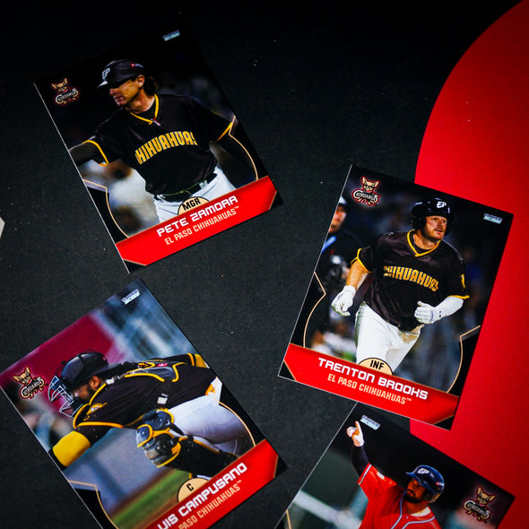 CHIHUAHUAS 2025 TEAM SET