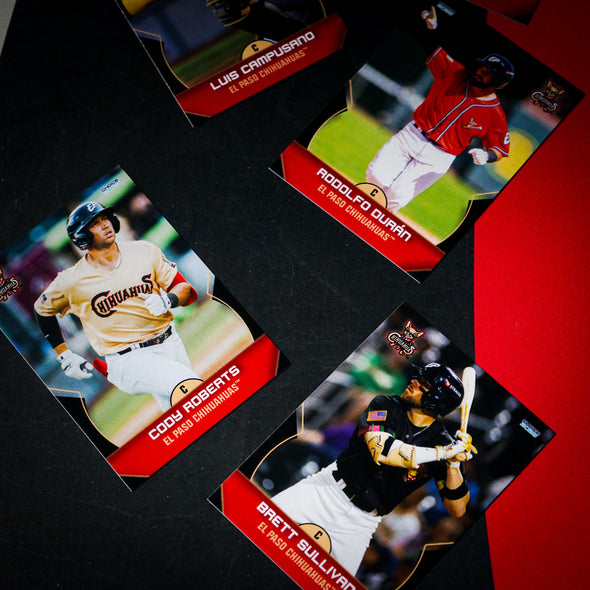 CHIHUAHUAS 2025 TEAM SET