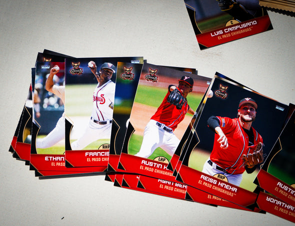 CHIHUAHUAS 2025 TEAM SET