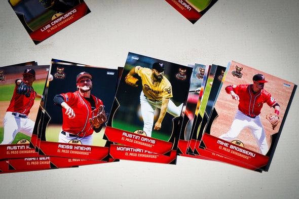 CHIHUAHUAS 2025 TEAM SET