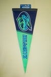 Hillcats Pennant