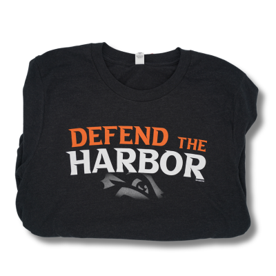 Norfolk Tides Defend the Harbor Black t-Shirt