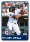 Reno Aces 2025 Player Team Card Set
