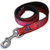 Richmond Flying Squirrels Dog leash