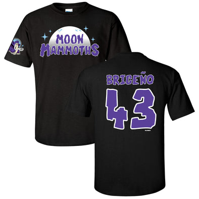 Erie SeaWolves BR Moon Mammoths Josue Briceño Player Shirsey