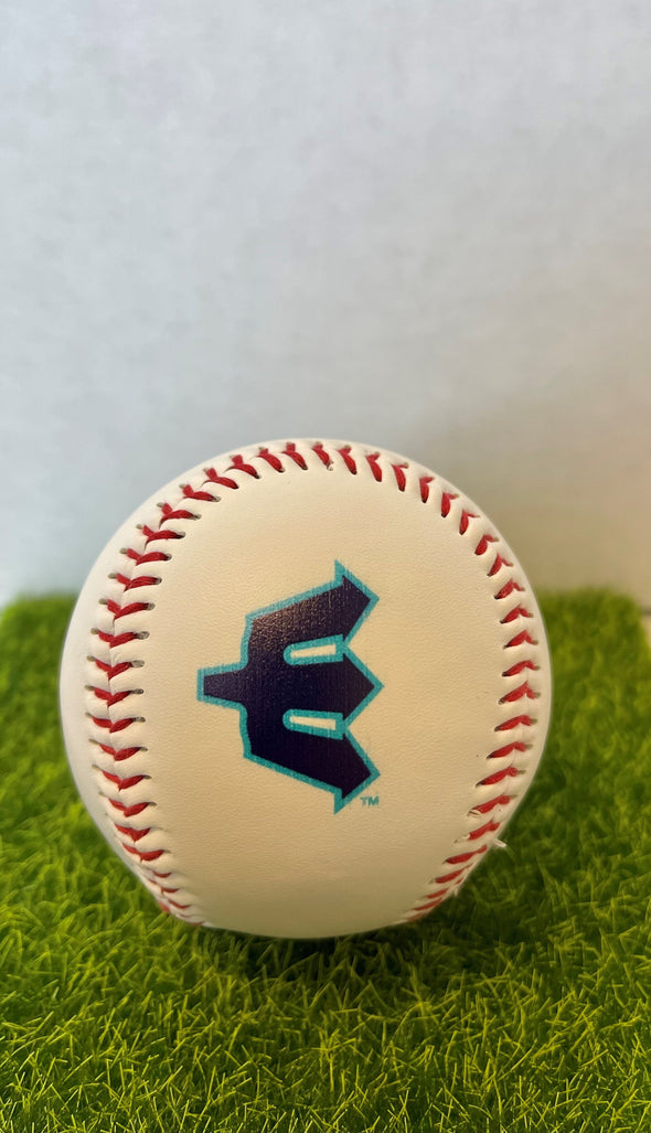 Everett AquaSox Baseball Road Logo
