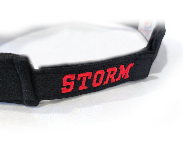 Lake Elsinore Storm Everett Home Visor