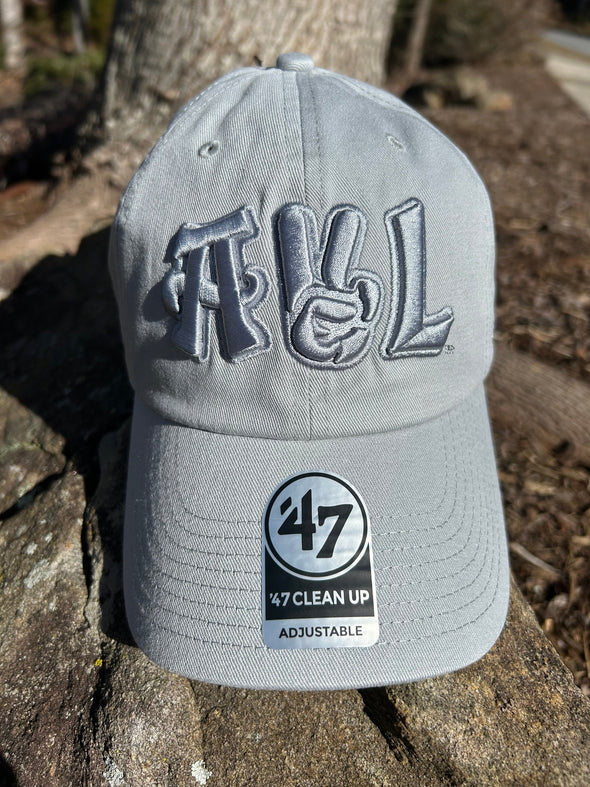 The Asheville Tourists AVL '47 Clean Up