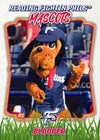 2024 Mascot Trading Card Set - 10 Card Set
