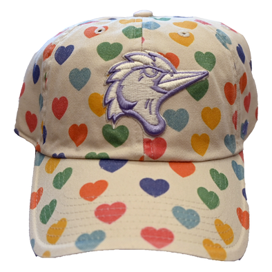Fayetteville Woodpeckers '47 Brand Youth Delight Adjustable Cap