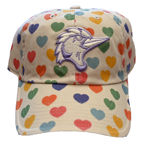 Fayetteville Woodpeckers '47 Brand Youth Delight Adjustable Cap