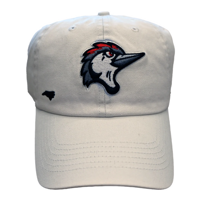 Fayetteville Woodpeckers '47 Brand Women's Confetti Icon Clean Up Cap