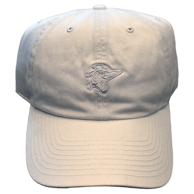 Fayetteville Woodpeckers '47 Brand Base Runner Clean Up Cap