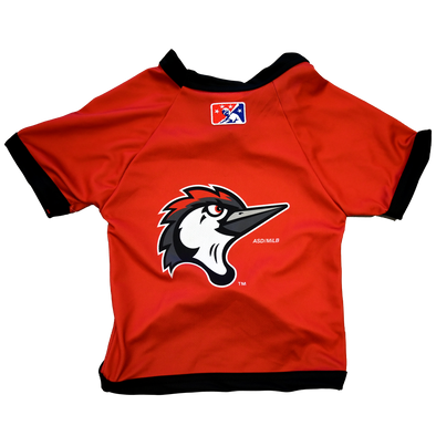 Fayetteville Woodpeckers All Star Dogs Home Cap Logo Jersey
