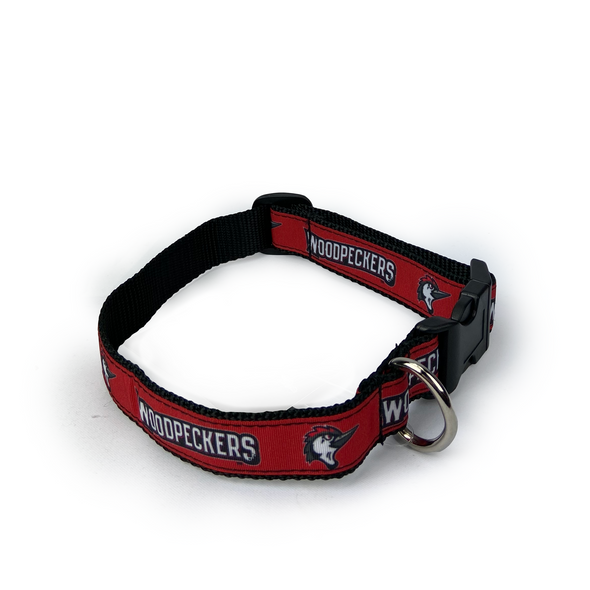 Fayetteville Woodpeckers All Star Dogs Pet Collar