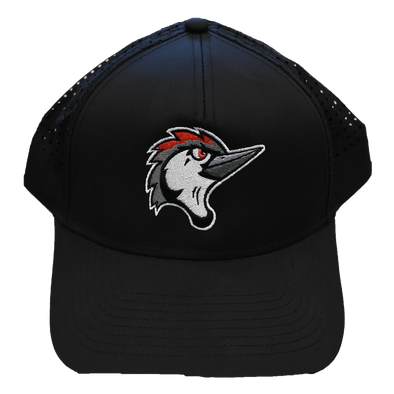 Fayetteville Woodpeckers American Needle Pacific Coast Adjustable Cap