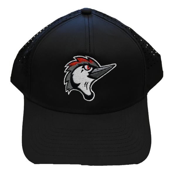 Fayetteville Woodpeckers American Needle Pacific Coast Adjustable Cap