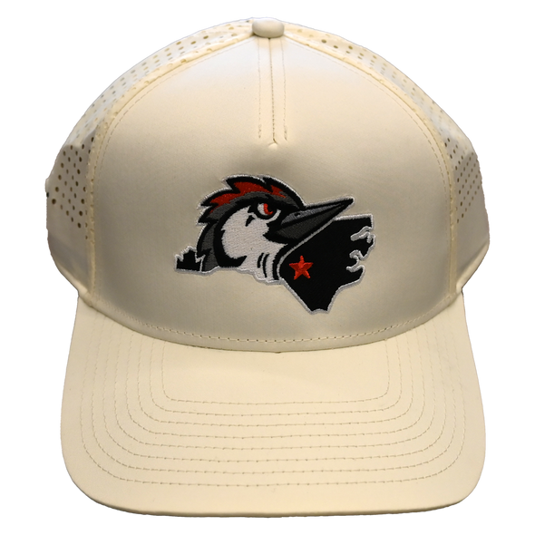 Fayetteville Woodpeckers American Needle Pacific Coast Adjustable Cap