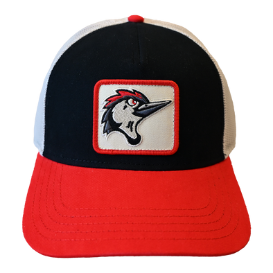 Fayetteville Woodpeckers American Needle Twill Valin Cap