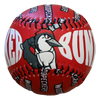 Fayetteville Woodpeckers BWM Bunker Baseball