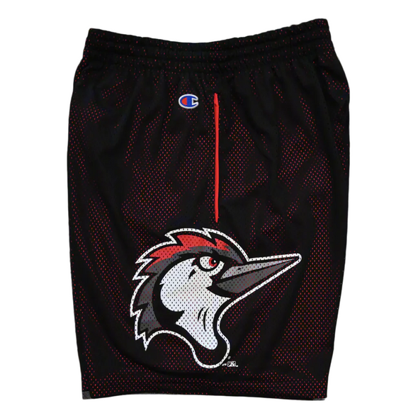 Fayetteville Woodpeckers Champion Men's Mesh Shorts
